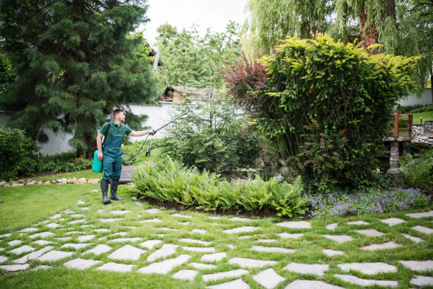 Best Exterminator Services  in Pleasant Prairie, WI
