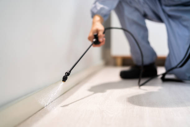 Best Local Pest Control Services  in Pleasant Prairie, WI