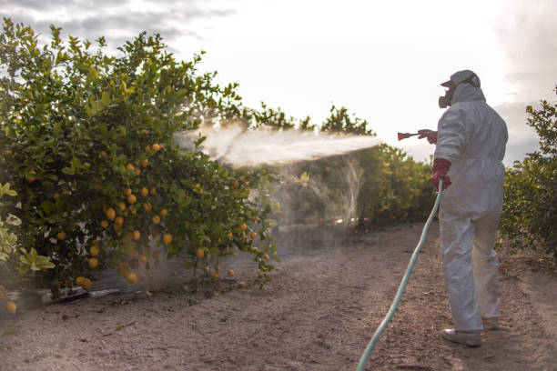 Wildlife Control Services in Pleasant Prairie, WI