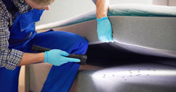 Best Mosquito Control Services  in Pleasant Prairie, WI