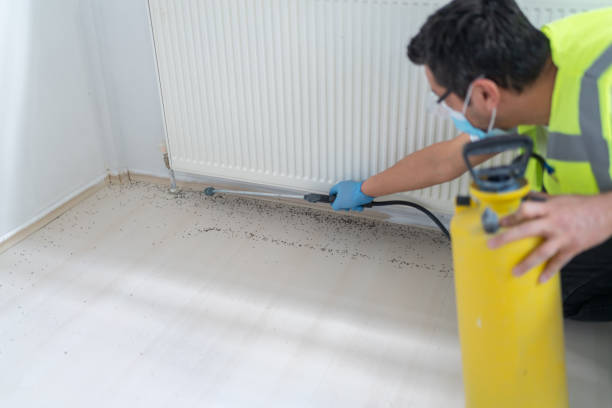 Best Cockroach Control Services  in Pleasant Prairie, WI