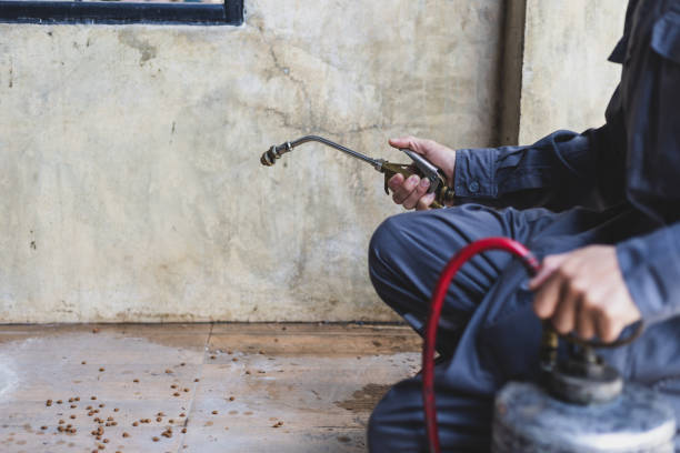 Best Pest Control Near Me  in Pleasant Prairie, WI