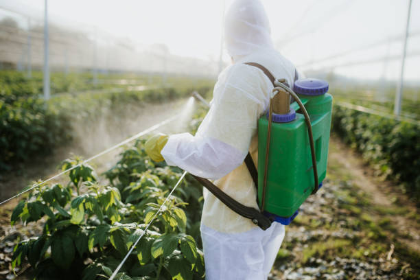 Best Best Pest Control Companies  in Pleasant Prairie, WI